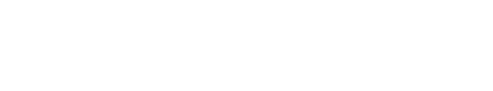 Peter Moser IT Quality Consulting